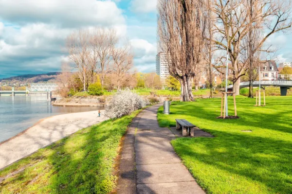 BaselLive Newsletter #187