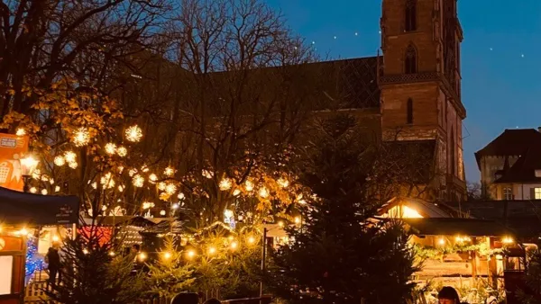 BaselLive Newsletter #191