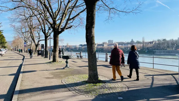 BaselLive Newsletter #195