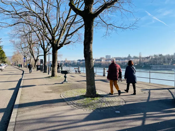 BaselLive Newsletter #195