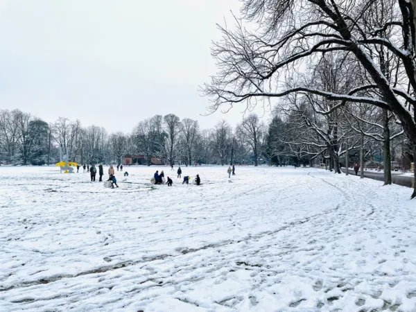 BaselLive Newsletter #196