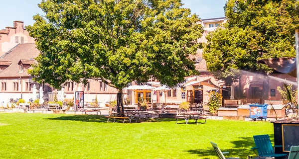 BaselLive Newsletter Edition #19