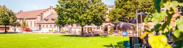 BaselLive Newsletter Edition #19