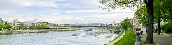 BaselLive Newsletter Edition #1