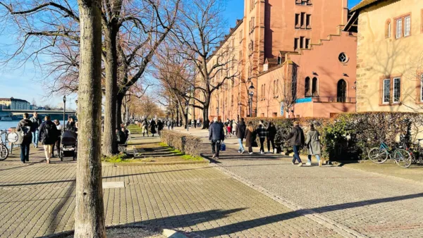 BaselLive Newsletter #202