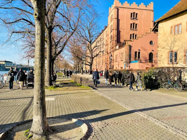 BaselLive Newsletter #202