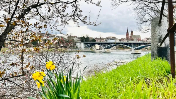 BaselLive Newsletter #204