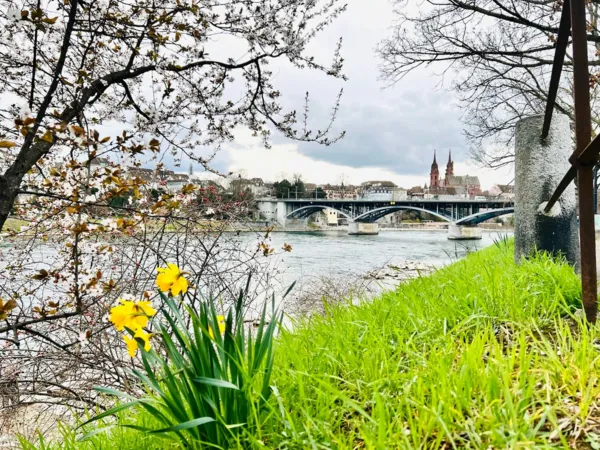 BaselLive Newsletter #204