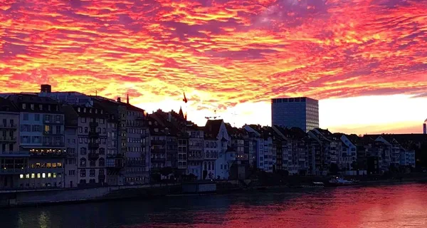 BaselLive Newsletter Edition #20