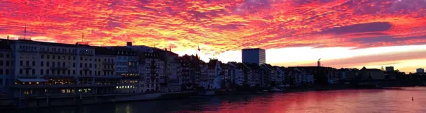 BaselLive Newsletter Edition #20