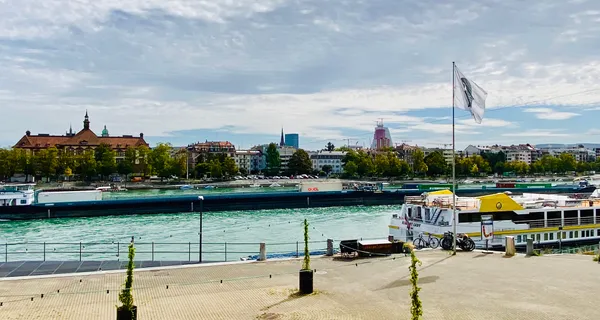 BaselLive Newsletter Edition #21