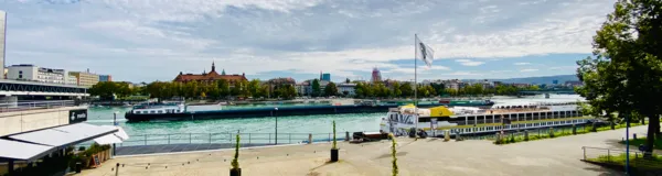 BaselLive Newsletter Edition #21