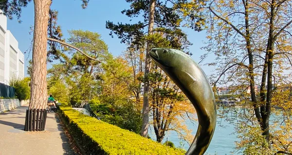 BaselLive Newsletter Edition #24