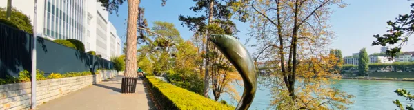 BaselLive Newsletter Edition #24