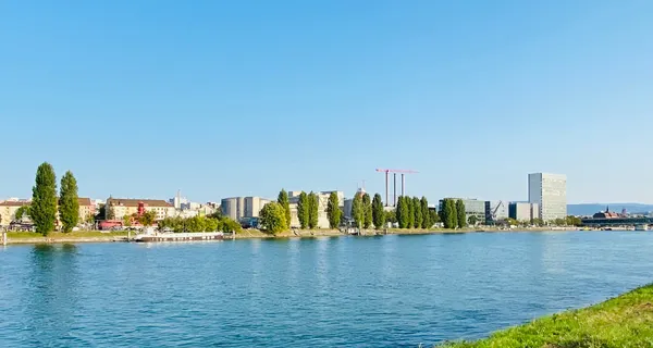 BaselLive Newsletter Edition #25