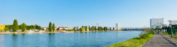 BaselLive Newsletter Edition #25