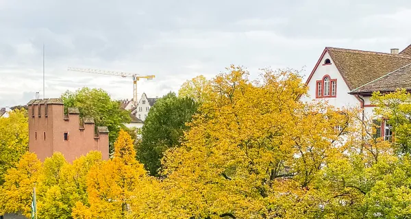 BaselLive Newsletter Edition #27