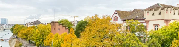 BaselLive Newsletter Edition #27