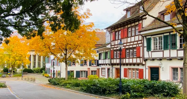 BaselLive Newsletter Edition #29