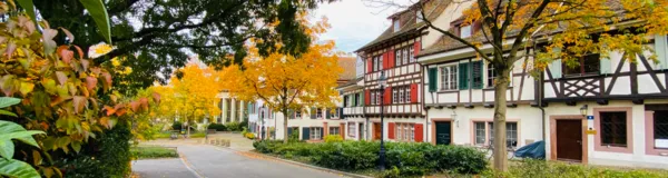 BaselLive Newsletter Edition #29