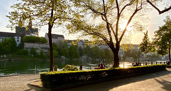 BaselLive Newsletter Edition #2