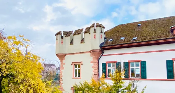 BaselLive Newsletter Edition #30