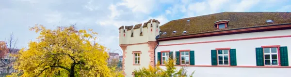 BaselLive Newsletter Edition #30