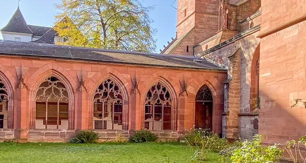 BaselLive Newsletter Edition #31