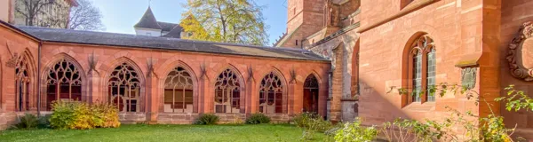 BaselLive Newsletter Edition #31