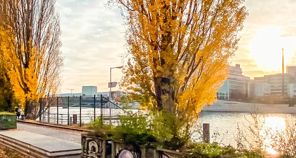 BaselLive Newsletter Edition #32