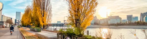 BaselLive Newsletter Edition #32