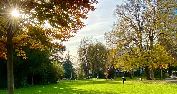 BaselLive Newsletter Edition #34