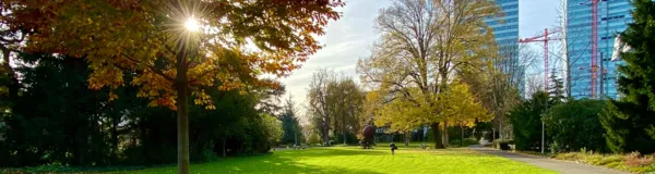 BaselLive Newsletter Edition #34