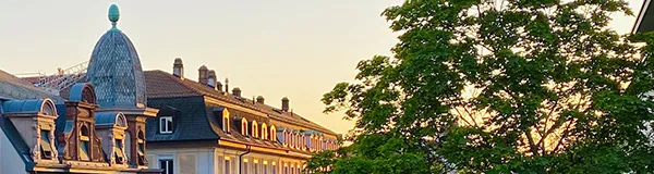 BaselLive Newsletter Edition #3