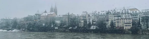 BaselLive Newsletter Edition #40