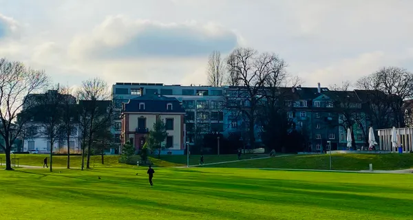 BaselLive Newsletter Edition #41