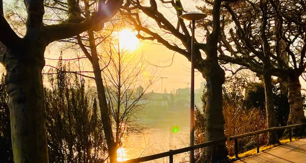 BaselLive Newsletter Edition #43