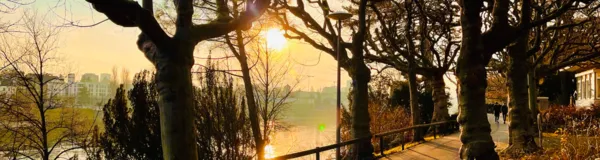 BaselLive Newsletter Edition #43