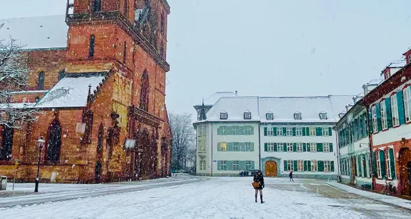 BaselLive Newsletter Edition #44