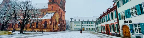 BaselLive Newsletter Edition #44