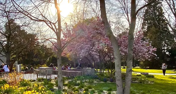 BaselLive Newsletter Edition #47