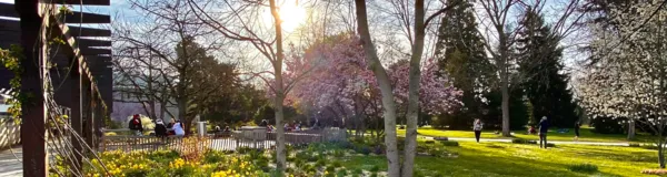 BaselLive Newsletter Edition #47