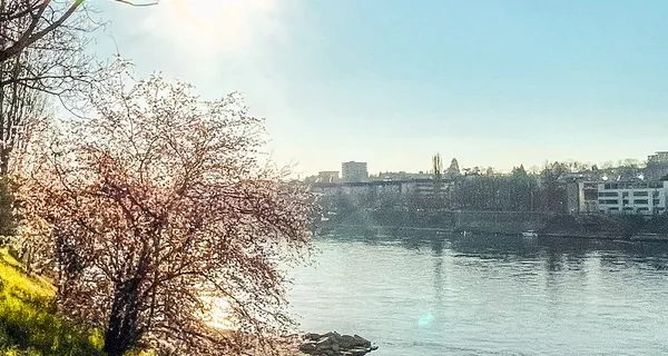 BaselLive Newsletter Edition #50