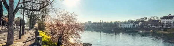 BaselLive Newsletter Edition #50