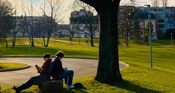 BaselLive Newsletter Edition #54