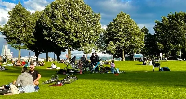 BaselLive Newsletter Edition #59