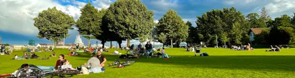 BaselLive Newsletter Edition #59