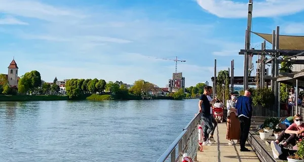 BaselLive Newsletter Edition #60