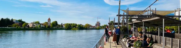 BaselLive Newsletter Edition #60