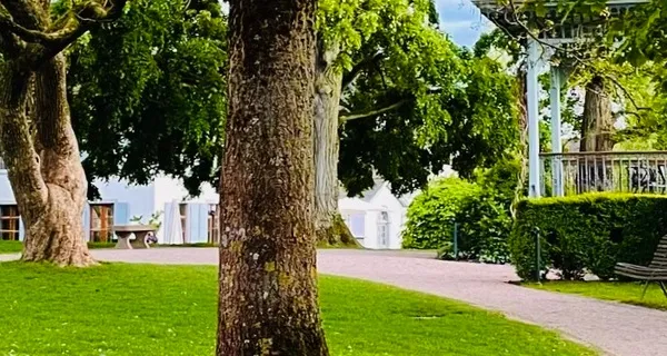 BaselLive Newsletter Edition #63